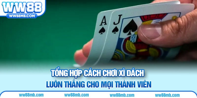 Tổng hợp cách chơi xì dách luôn thắng cho mọi thành viên